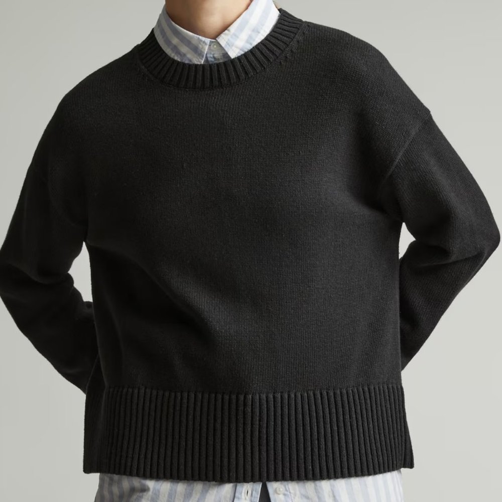 NWT: Everlane Organic Cotton Crew Sweater S